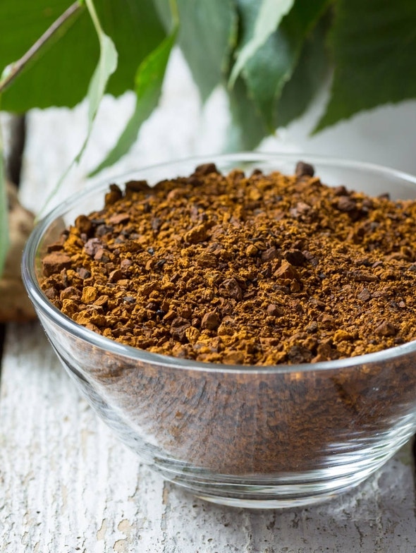 Chaga: il fungo della salute