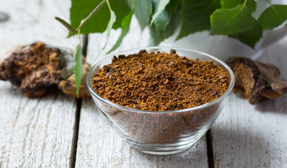 Chaga: il fungo della salute