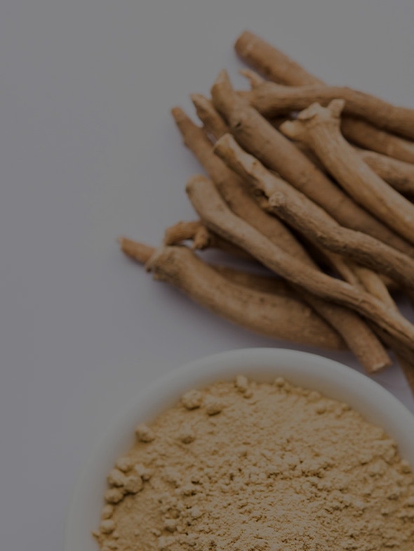 Ashwagandha: un prezioso alleato contro lo stress