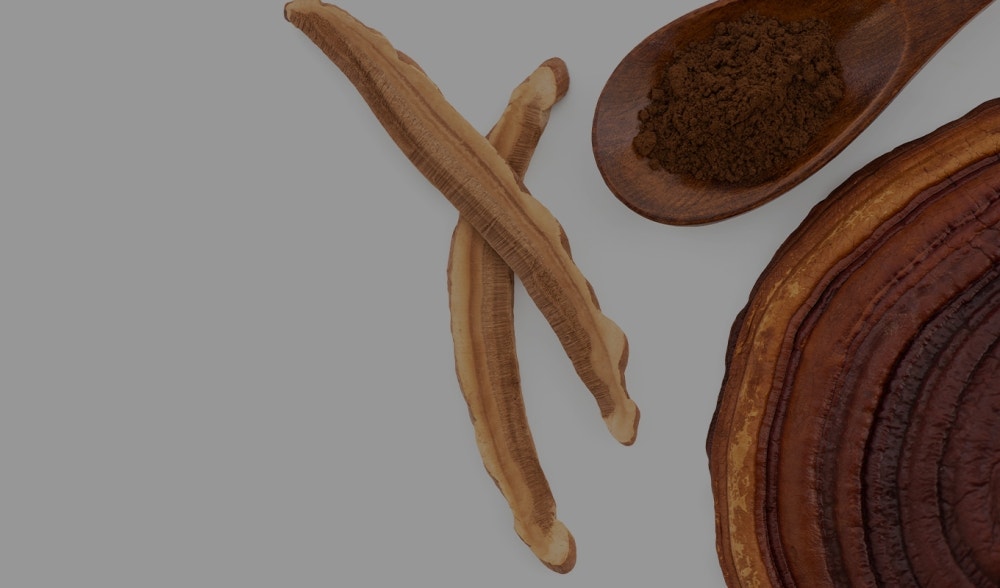 Reishi | Benefits and properties of reishi, the 