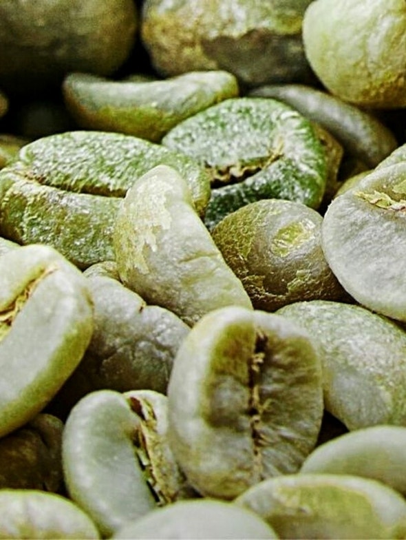 Caffè verde | Proprietà e benefici del caffè verde crudo