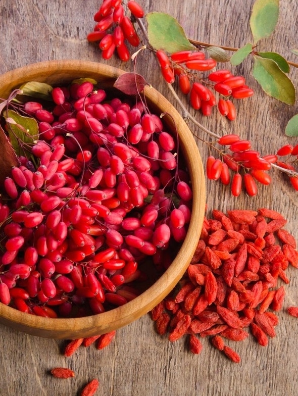 Bacche di Goji | I 4 Maggiori Benefici Evidenziati dalla Ricerca