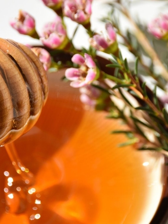 Miele di Manuka | Proprietà e caratteristiche