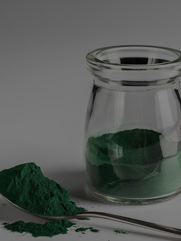 Alga Spirulina | Gli Straordinari Benefici della Spirulina in Polvere